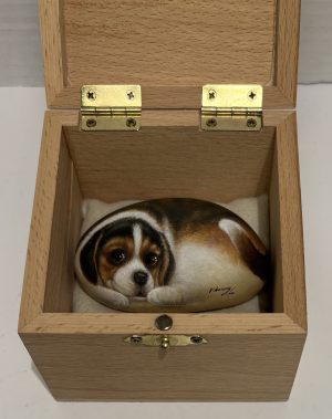 img 0618