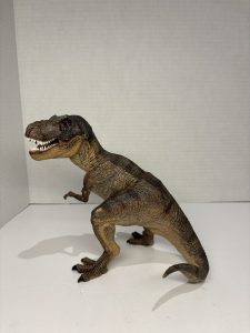 img 0749